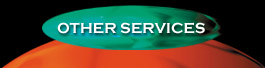 Other services